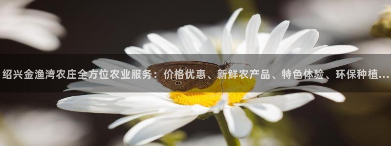 必一体育手机下载