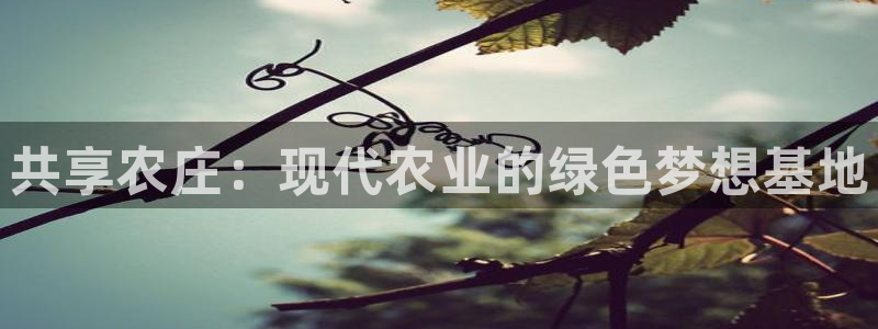 必一体育旧版