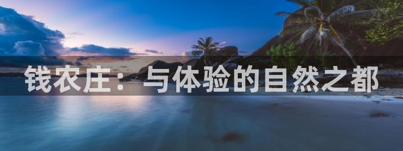 必一运动官网入口