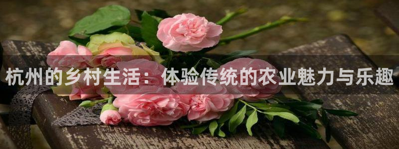 必一体育app官方下载