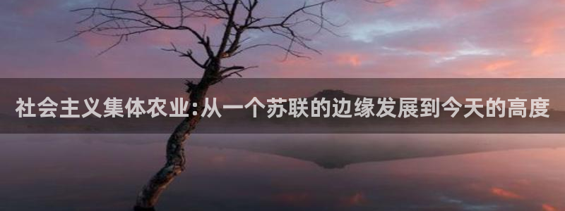 必一体育皮尔斯