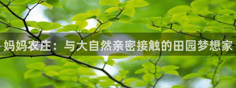必一体育app官方下载