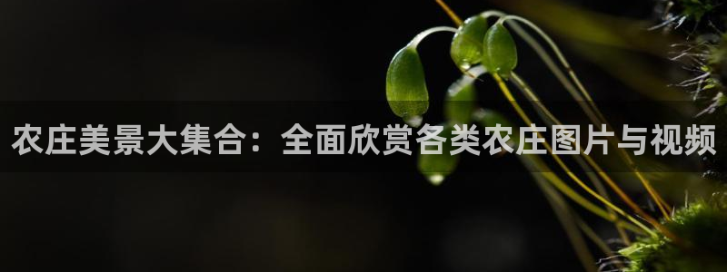 必一体育app官方下载入口