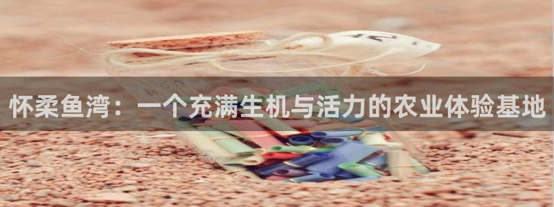 必一体育下载