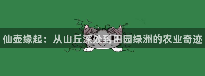 必一体育最新官网入口首页