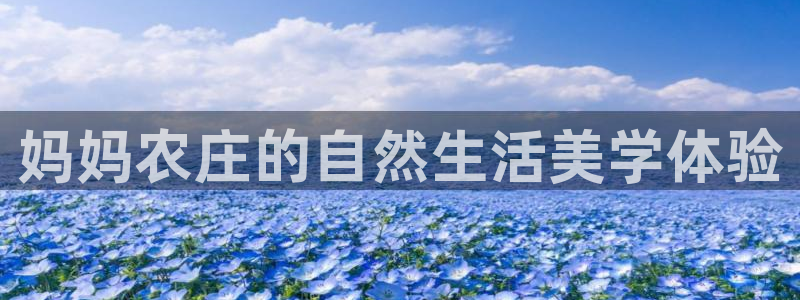 必一体育app官方网站