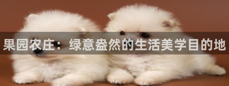 必一体育下载义