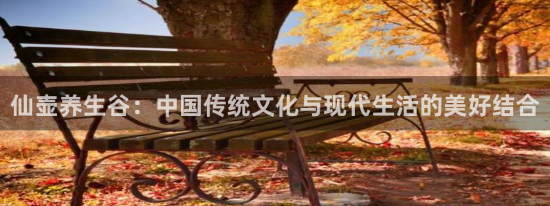 必一运动bsport体育app下载
