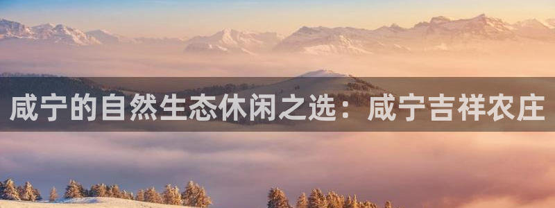 必一体育bsport下载