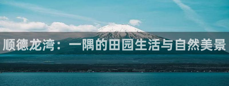 必一体育登录APP下载