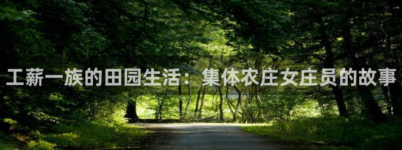 b体育必一运动网页版在线登录入口