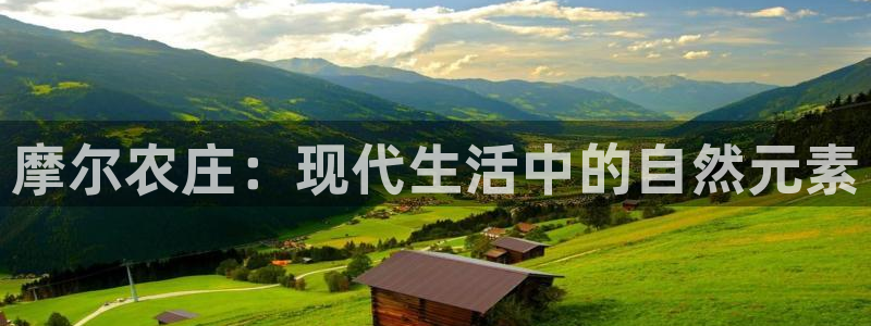 必一运动·(B-Sports)土豆