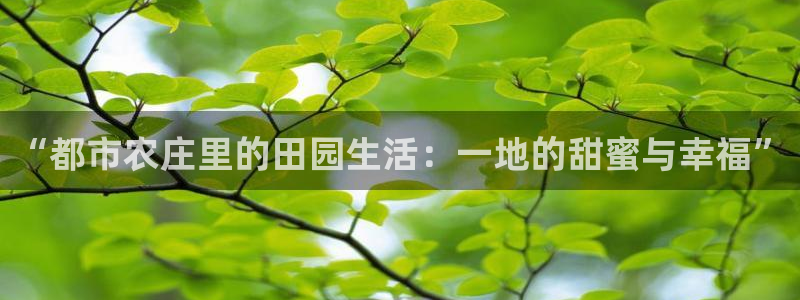 必一运动·(b-sports)官方网站