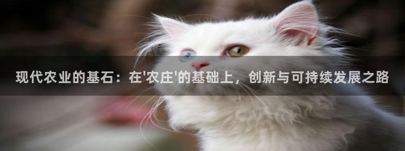 必一体育运动app