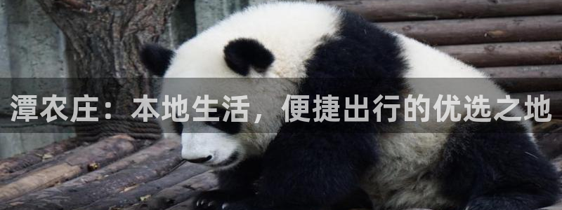 必一体育下载