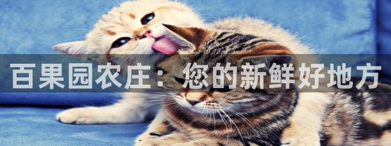 必十二和必一的副作用