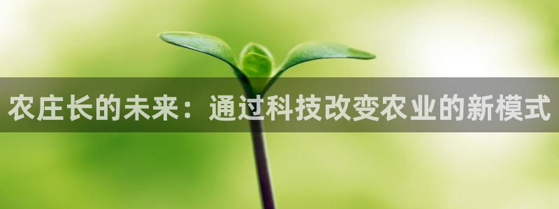 必一体育官网网址