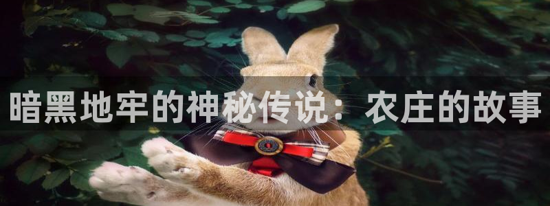 必一体育皮尔斯