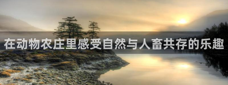必一运动bsport体育app下载