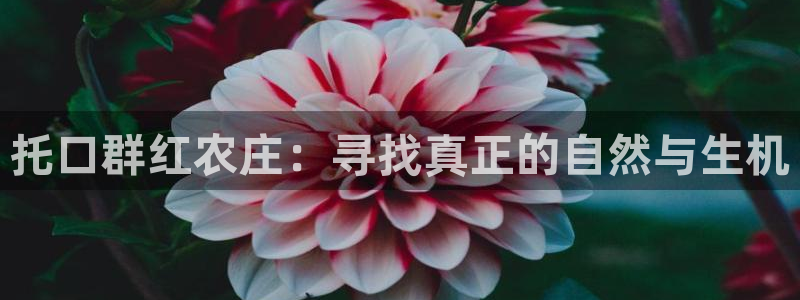 必一体育下载意思