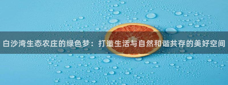必一体育黑平台