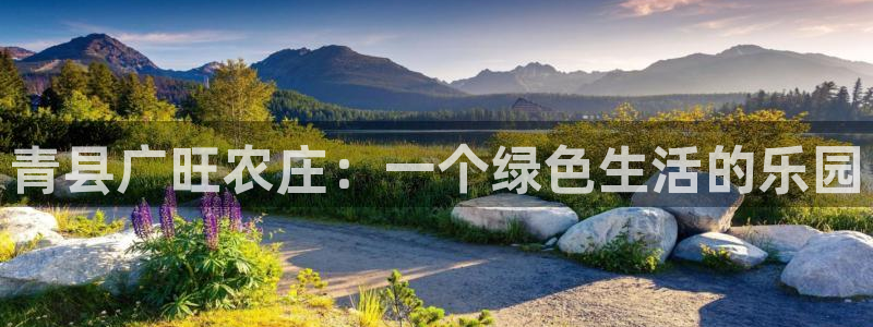 必一体育网站