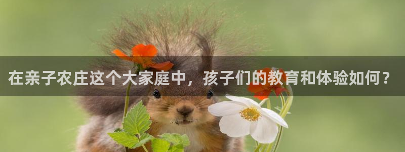 必一体育运动app下载