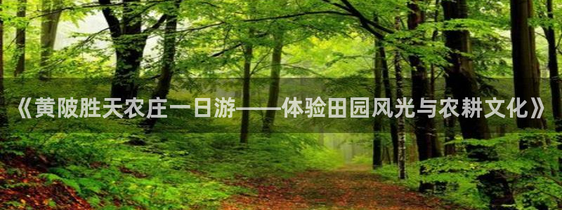 b体育必一下载