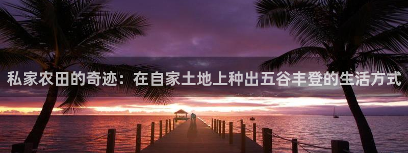 必一体育在线官网