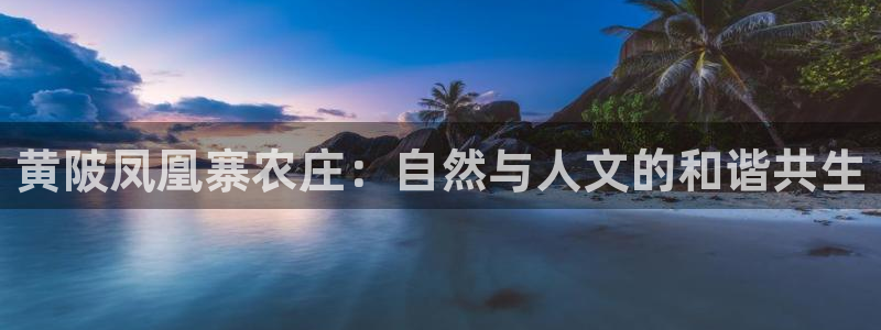 必一体育app官方