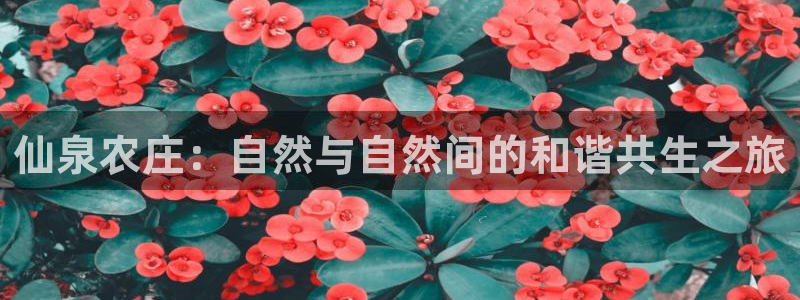 必一运动tieba.baidu.com