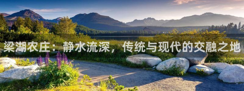 必一体育服下载最新版本更新内容