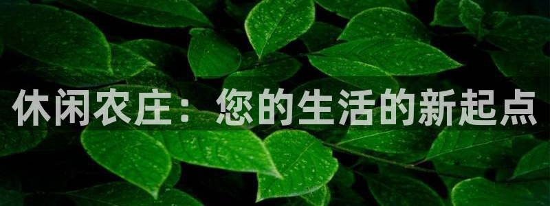 必一体育下载一样吗