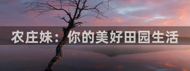 必一体育登陆