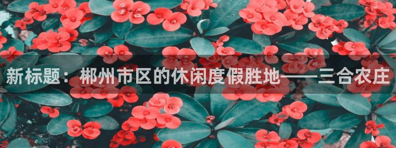 必一体育在线登陆