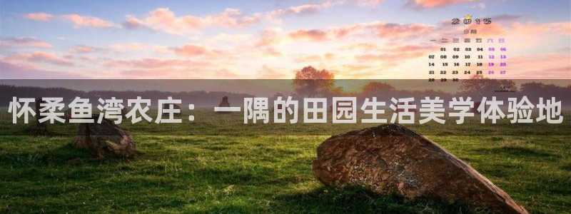 必一体育运动app