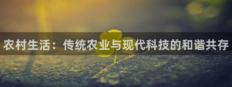 必一体育游戏玩法