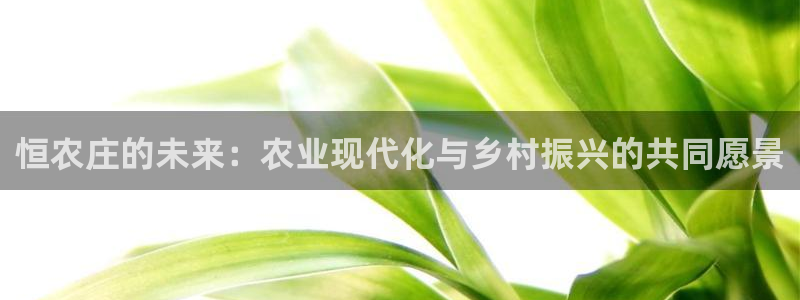 必一体育合法吗
