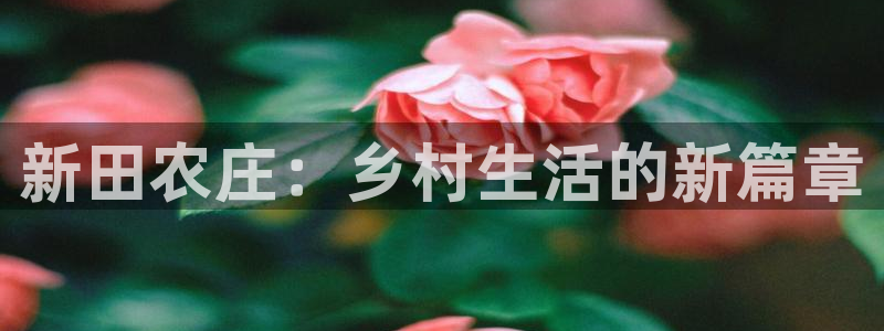 必一运动听的歌