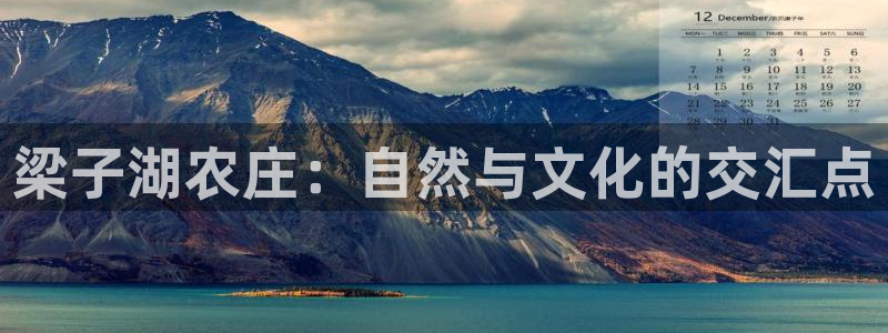 必一运动 b 体育素描版