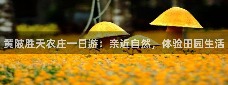 必一体育官方下载