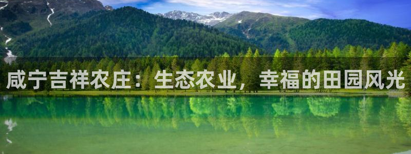 必一体育可靠吗