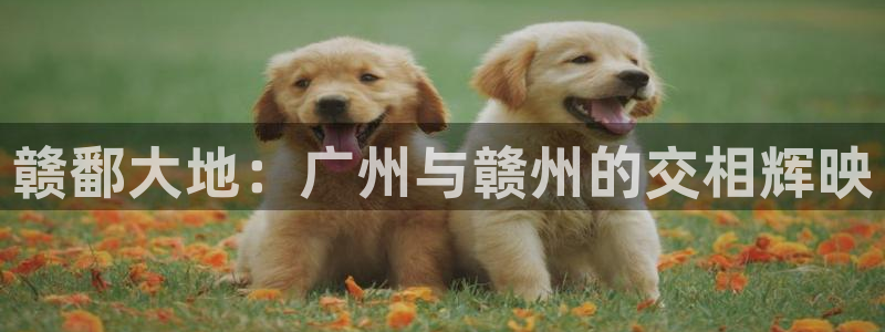 必一体育sport装机吧