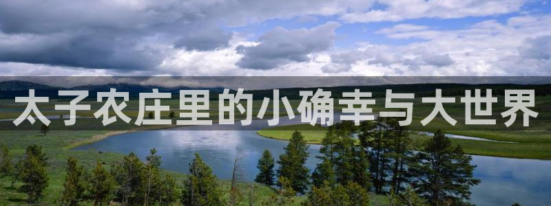 必一体育游戏玩法