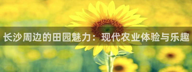 必一体育官网app