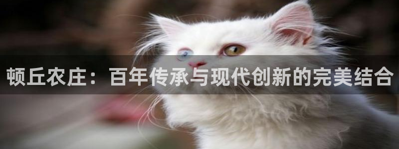 必一体育是哪里的台子