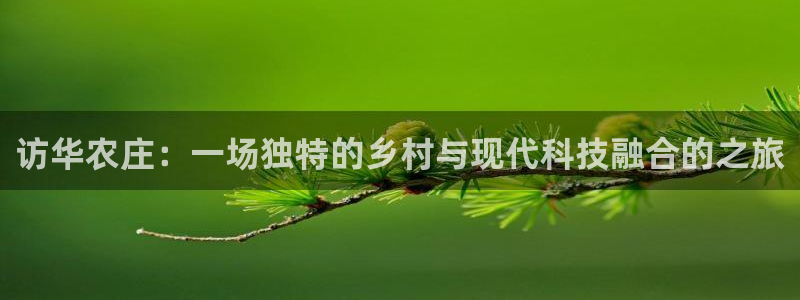 必一体育旧版