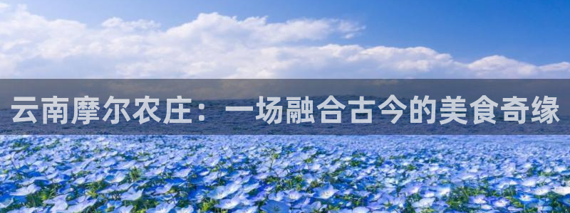 必一体育平台