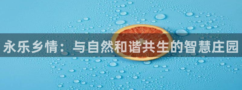 必一体育周公