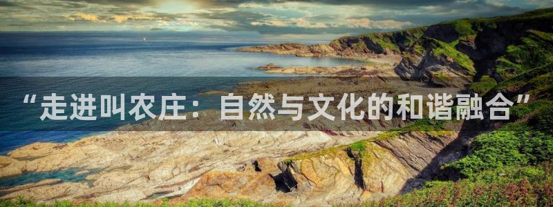 必一体育能提现大金额吗